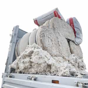 เส้นใยฝ้ายดิบขายส่ง ไม่ผ่านกระบวนการผลิต สำหรับโรงงานสปินนิ่งสิ่งทออุตสาหกรรม การผลิตเส้นด้าย การทอผ้า และการผลิตสิ่งทอ - Product Image 6