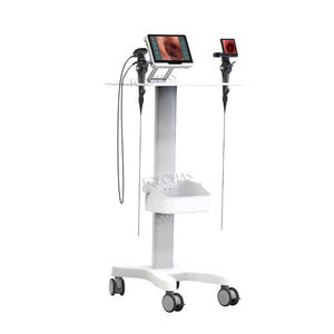 LHWTK12 Multi-fonction 10 Pouces Écran Tactile Pet Gastroscopie Cystoscopie Vaginoscopie Portable Vet Endoscope Système - Product Image 6