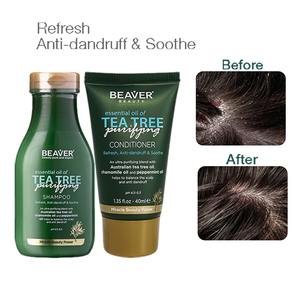 BEAVER Nature Tea Tree shampooing et après-shampooing extrait de plante contrôle de l'huile élimination des pellicules Anti démangeaisons apaisant Mini ensemble de shampooing - Product Image 1
