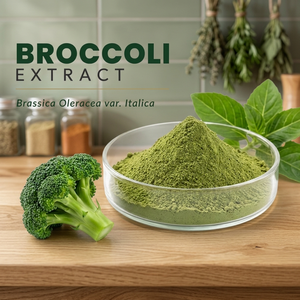 Extracto de Brócoli en Polvo, Brassica Oleracea Var Italica, Extracto Natural de Planta para Fórmulas Alimenticias y Nutricionales - Product Image 2