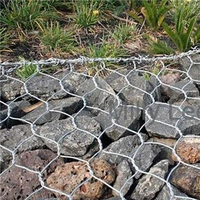 Grillage hexagonal galvanisé à chaud 1,5-3,0 mm, maille de 25 mm, pour cages à poissons, pièges à homards et crabes, aquaculture