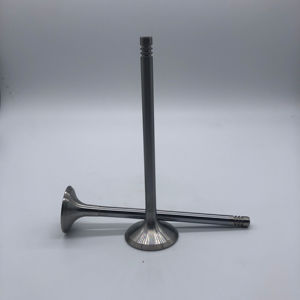 奥迪Q7 4.2杆C6 4.2 BAT BBK BHF A8 4.0T OE 06E109601E 06D109611H的工厂价格锻造发动机进气门排气门 - Product Image 4