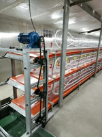 Cage à poulets de type H au meilleur prix avec grattoir manuel pour la collecte du fumier, cages d'élevage de poulets de chair pour petites exploitations avicoles (120 à 2000 poulets)