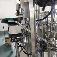 Machine de remplissage et de bouchage automatique rapide pour sachets et pochettes avec bec verseur, 200 ml, pour emballage liquide Doypack (aliments et détergents)
