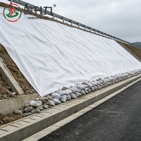 Géotextile non tissé en filament de polyester WSL pour le renforcement des talus routiers et la séparation des sols, drainage ferroviaire, fibres longues