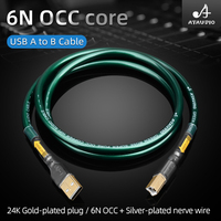 Câble audio USB de haute qualité plaqué argent OCC de type A-B, câble USB de décodage de données, câble USB HiFi pour ordinateur, caméra, utilisation audio
