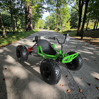 Buggy de Carreras para Adultos de 212cc y 4 Tiempos a Gasolina con Chasis de Alta Resistencia para Diversión en Parques de Atracciones al Aire Libre, Go Kart