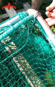 Biển Hai Cơ Thể Weir Bẫy Câu Cá Weir Lồng Cố Định Hệ Thống Lồng Bẫy Tất Cả Có Thể Được Tùy Chỉnh Siêu Lớn Câu Cá Weir Bẫy Lồng - Product Image 5