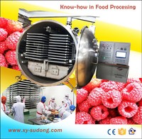2026 de beste Xinyang 125m2 fruitvriesdroogmachine