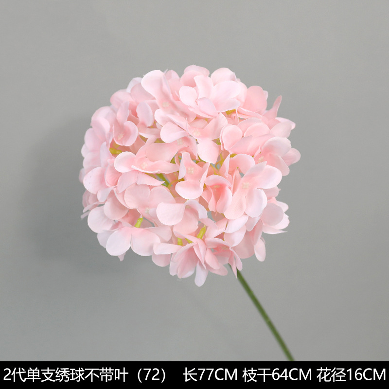 2-generation single hydrangea without leaves-72