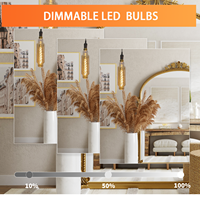 Ampoule LED Edison vintage grande taille TT80, verre fumé ambré, ampoule à filament intérieure TT24, sans scintillement, ampoule à filament LED décorative