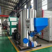 Tungku Uap Vertikal Industri Sirkulasi Alami Pipa Api Tekanan Rendah Otomatis 100-2000kg Biomassa Kayu Jerami Baja Karbon Uap Tinggi