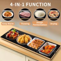 500W Portable Tapis Chauffant Électrique Chauffage Rapide Cuisine Alimentaire Plaque Chaude pour Usage Domestique Allemand Langue Opérationnelle Chauffage à Bobine