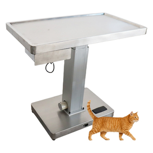 IN-PL05 Stainless Steel Veterinary Equipment Animal Treatment Pet Diagnosis <b>Table</b> With Electronic Scale - Product Image 2