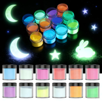 Poudre de pigment phosphorescente pour résine époxy, fabrication de slime, artisanat DIY, art nocturne, signalisation de sécurité, nail art activé par l'eau