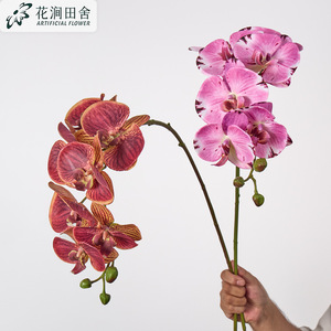 RK257 Orchidées artificielles en gros <span class=keywords><strong>Phalaenopsis</strong></span> <span class=keywords><strong>Dendrobium</strong></span> Latex Papillon 7 têtes Fleurs d'orchidées artificielles au toucher réel - Product Image 3