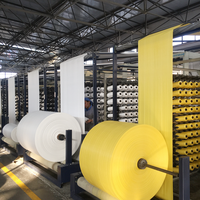 Rouleau de tissu tissé en PP jaune, tissu en polypropylène blanc haute résistance pour la fabrication de sacs tissés FIBC, sacs jumbo, usine d'emballage plastique
