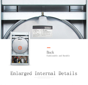 ROC新著名的中国水泵壁挂式天然气锅炉即时热水房加热热水器家用 - Product Image 4