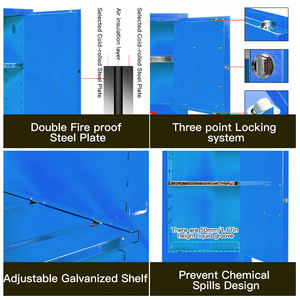 22-גלון ארון בטיחות פלדה דו נעול כפול רהיטי מעבדה מתכווננת לבית הספר בית החולים סדנת עיצוב תעשייתי מודרני - Product Image 6