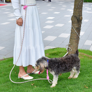 Correa de nailon resistente e impermeable para mascotas con logotipo personalizado con asa acolchada - Product Image 5