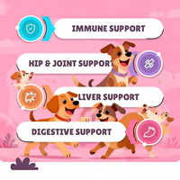 Suplemento Digestivo para Mascotas de Marca Privada Personalizada OEM/ODM, Sin Residuos, Refuerza el Sistema Inmunológico, Golosina Masticable Suave para Perros