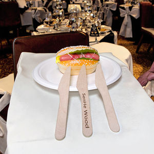 Juego de cuchillos desechables de madera de abedul biodegradables impresos con logotipo personalizado, 140mm y 165mm, cubiertos de viaje compostables a granel para Cocina - Product Image 5