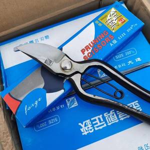 Sécateur Kinyo 200 mm à lames croisées en acier carbone forgé pour la taille des arbres fruitiers - Product Image 1