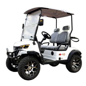 Chariots de <span class=keywords><strong>golf</strong></span> électriques 2 places Chariots de <span class=keywords><strong>golf</strong></span> à piles Chariots de <span class=keywords><strong>golf</strong></span> tout-terrain à vendre - Product Image 1