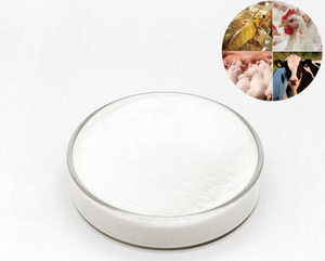 Additifs alimentaires de haute qualité à 98% bétaïne mélangés pour la subsistance des animaux pour le poisson crevettes porc poulet autres espèces - Product Image 6