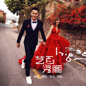 Art Show Wedding Dress Ball Gown V-neck Tulle Natural Waistline For Street Photography Outdoor Travel Couple Shoot - Product Image 2
