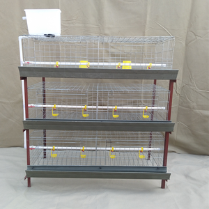 Automático de pollos de engorde jaulas <span class=keywords><strong>en</strong></span> batería Sistema de La Casa de La Granja edificio <span class=keywords><strong>en</strong></span> jaulas de animales para la <span class=keywords><strong>venta</strong></span> - Product Image 5