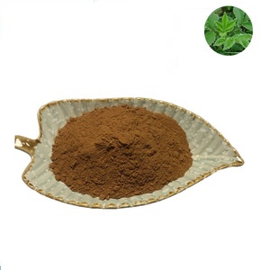 Extracto de hierbas de alta calidad Xian He Cao 10:1 20:1 <span class=keywords><strong>Agrimonia</strong></span> Pilosa extracto en polvo - Product Image 1