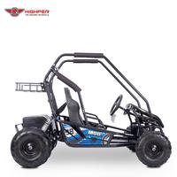 Buggy électrique 2000w pour adultes Beach Go-Kart avec frein à disque à vendre