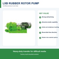 Pompa Rotary Lobe Karet YAQUAN LXB-10 untuk Lumpur Limbah Padatan Lunak 10m3/jam 0.8MPa 3kW DN50 Self-Priming