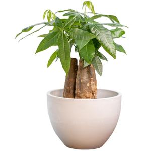 6 pouces 10 pouces 12 pouces accrocher jardinières en gros <span class=keywords><strong>à</strong></span> la main en plastique blanc pierre Pot de fleur <span class=keywords><strong>jardinière</strong></span> <span class=keywords><strong>jardinière</strong></span> - Product Image 5