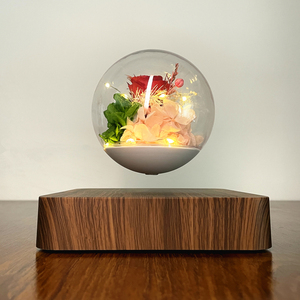 Lampada a fiori stabilizzati lampada a rosa levitante magnetica lampada da tavolo galleggiante <span class=keywords><strong>regalo</strong></span> romantico <span class=keywords><strong>per</strong></span> donna <span class=keywords><strong>regalo</strong></span> <span class=keywords><strong>personalizzato</strong></span> <span class=keywords><strong>per</strong></span> amica - Product Image 2