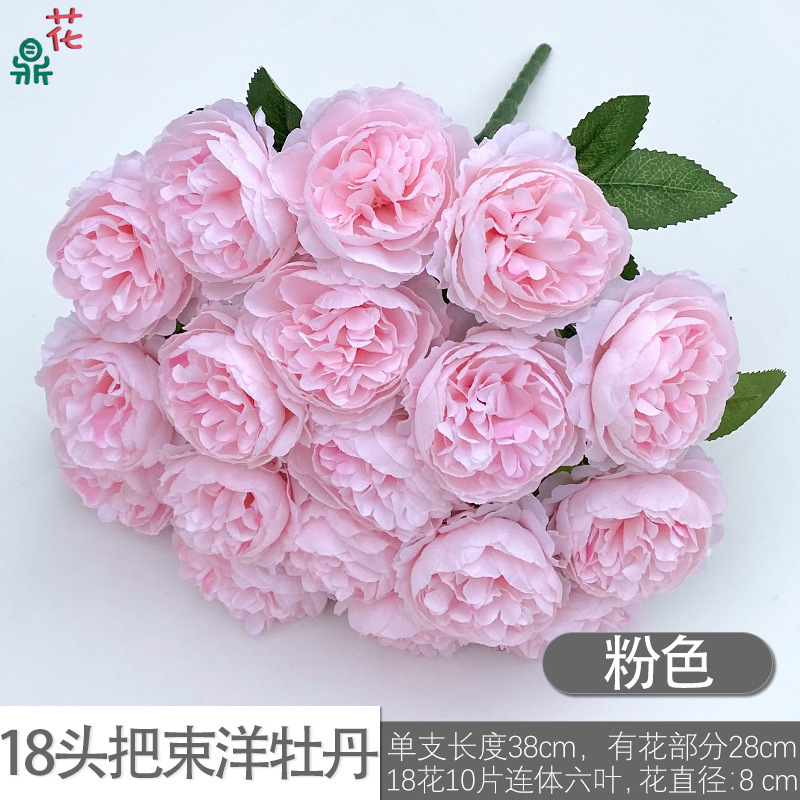 ดอกโบตั๋นสีชมพู 18 ดอก