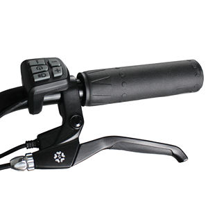 Moteur électrique 750W + vélo, cadre en alliage d'aluminium, pour la plage - Product Image 4