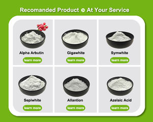 A fábrica fornece o sódio cosmético Hyaluronate da categoria para hidratear - Product Image 4