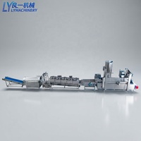 Hochwertige Produktionslinie für Kochbananenchips, Bananenchips-Herstellungsmaschine, Obstchips-Produktionsanlage, Chips-Frittiermaschine