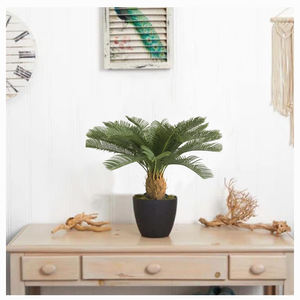 Fournitures de jardin à bas prix fausse plante cycad bonsaï plante artificielle en pot décor extérieur - Product Image 6