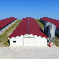 Poulailler préfabriqué économique en structure acier moderne pour l'élevage avicole à grande échelle avec personnalisation