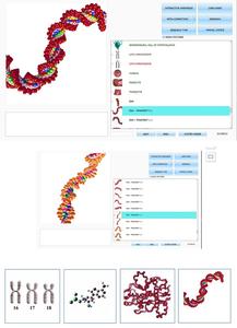 Escáner Cuántico NLS Biophilia Guardian 2026 para Mascotas, Software Multi-idioma de Descarga Gratuita - Product Image 5