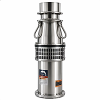 Pompe submersible à aimant permanent en acier inoxydable robuste, à huile, VFD, haute efficacité, pour puits profond, alimentation en eau agricole