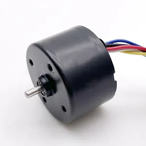 24mm 28mm 36mm 42mm Micro alta velocidad 12V 24V bldc motor eléctrico sin escobillas