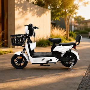 Bicicleta Dorada, Neumáticos Opcionales de 14/16 Pulgadas, Diseño de Gran Capacidad de Carga, Jinying de Largo Alcance Ofrece hasta 50 km de Autonomía por Carga para Exteriores - Product Image 3