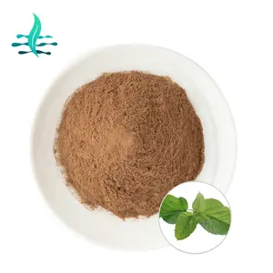 Natural Mulberry Leaf Extract Powder DNJ 1% DNJ Powder