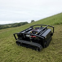 Tondeuse à gazon télécommandée sur chenilles SKK80, largeur de coupe 80 cm, débroussailleuse à fléaux pour pentes, moteur essence, coupe-herbe tout-terrain pour jardin, OEM