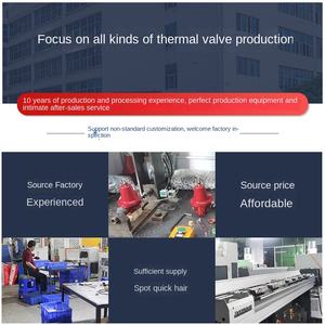 YOUYI LG-16P pneumatisches Gasdruck reduzier ventil für Haushalts-Flüssiggas 1 Jahr Garantie - Product Image 5