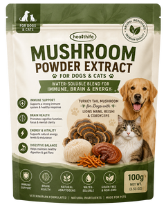 Complément alimentaire pour animaux <span class=keywords><strong>de</strong></span> compagnie Healthife OEM, extrait <span class=keywords><strong>de</strong></span> poudre <span class=keywords><strong>de</strong></span> champignons pour chiens et chats, champignon queue <span class=keywords><strong>de</strong></span> dinde, crinière <span class=keywords><strong>de</strong></span> <span class=keywords><strong>lion</strong></span>, reishi et cordyceps - Product Image 1